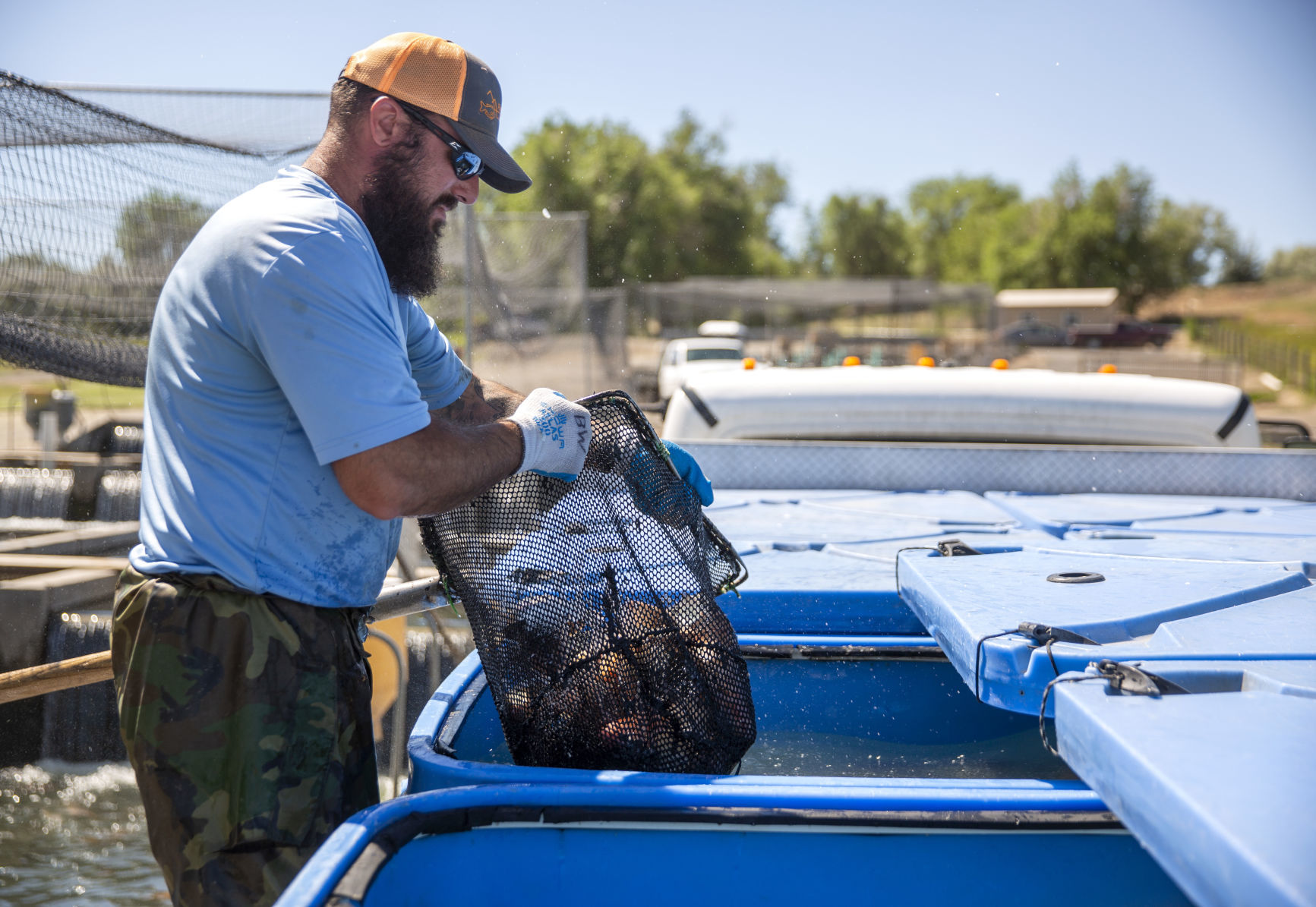 Aquaculture industry takes a hit with coronavirus closures